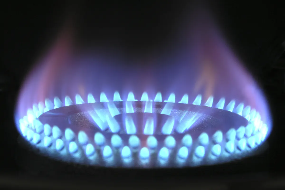Energieplafond rekentool